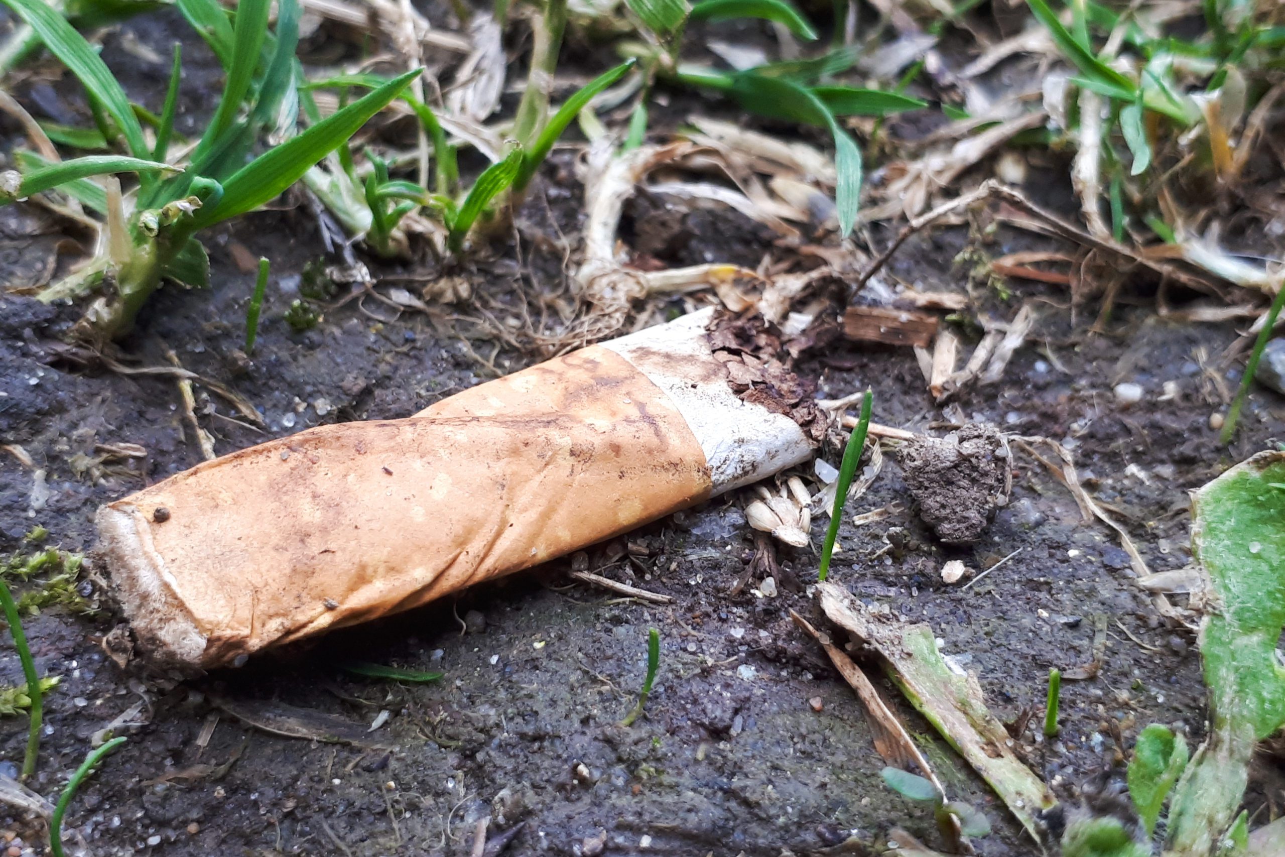 La collecte et le recyclage des mégots de cigarettes s’organisent !